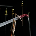 TÜRK PALASI - Görsel 2